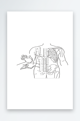 矢量医疗器官图标插画