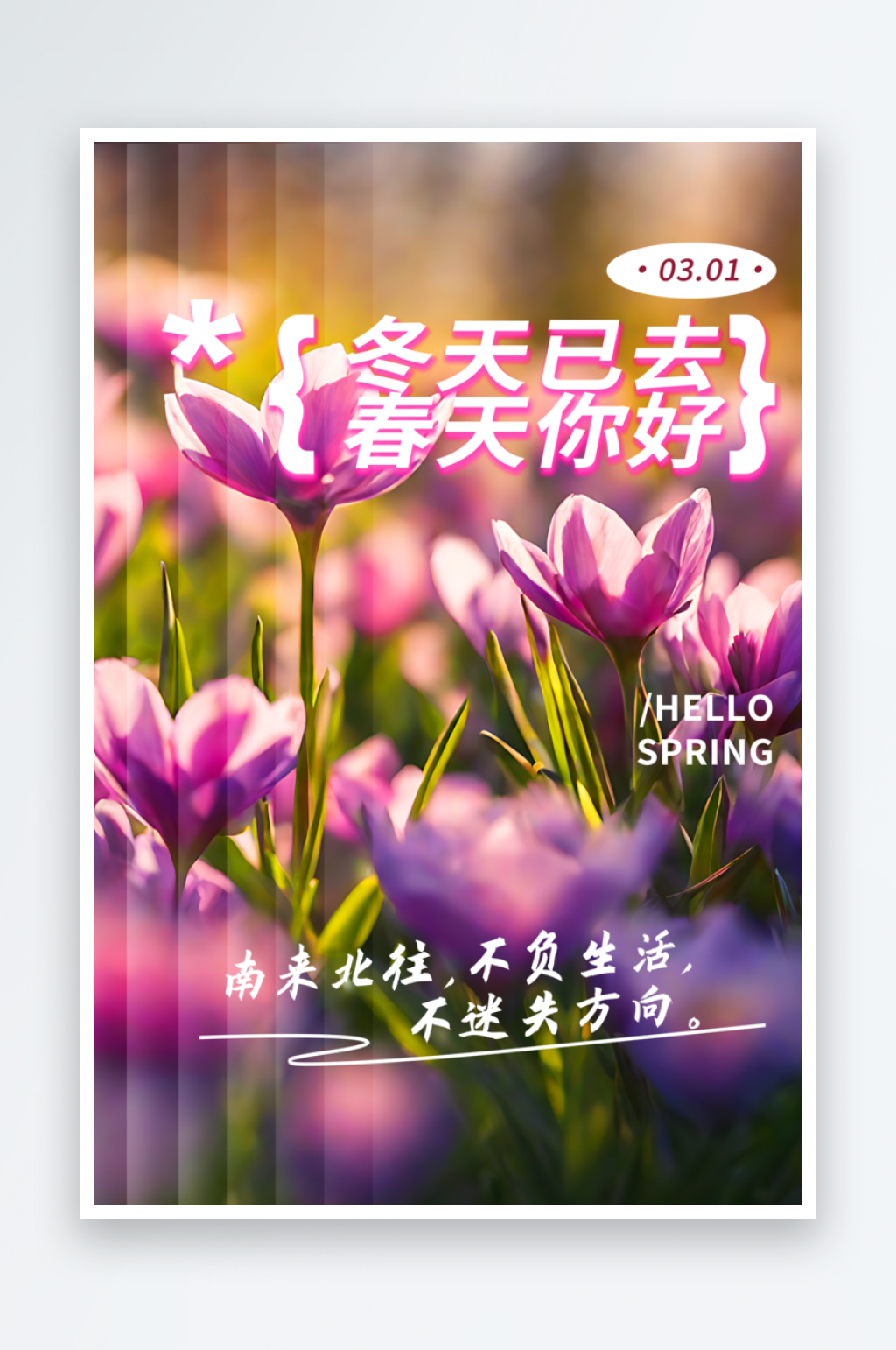 冬天已去春天你好摄影图春天海报素材