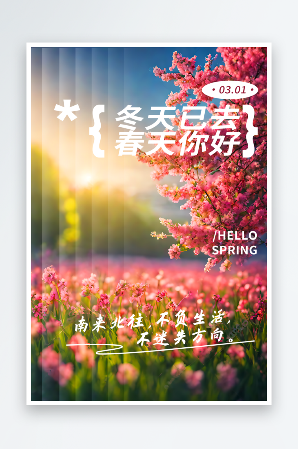 冬天已去春天你好摄影图春天海报素材