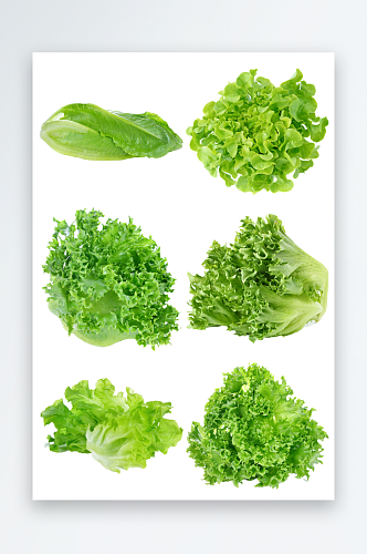 新鲜蔬菜免抠元素