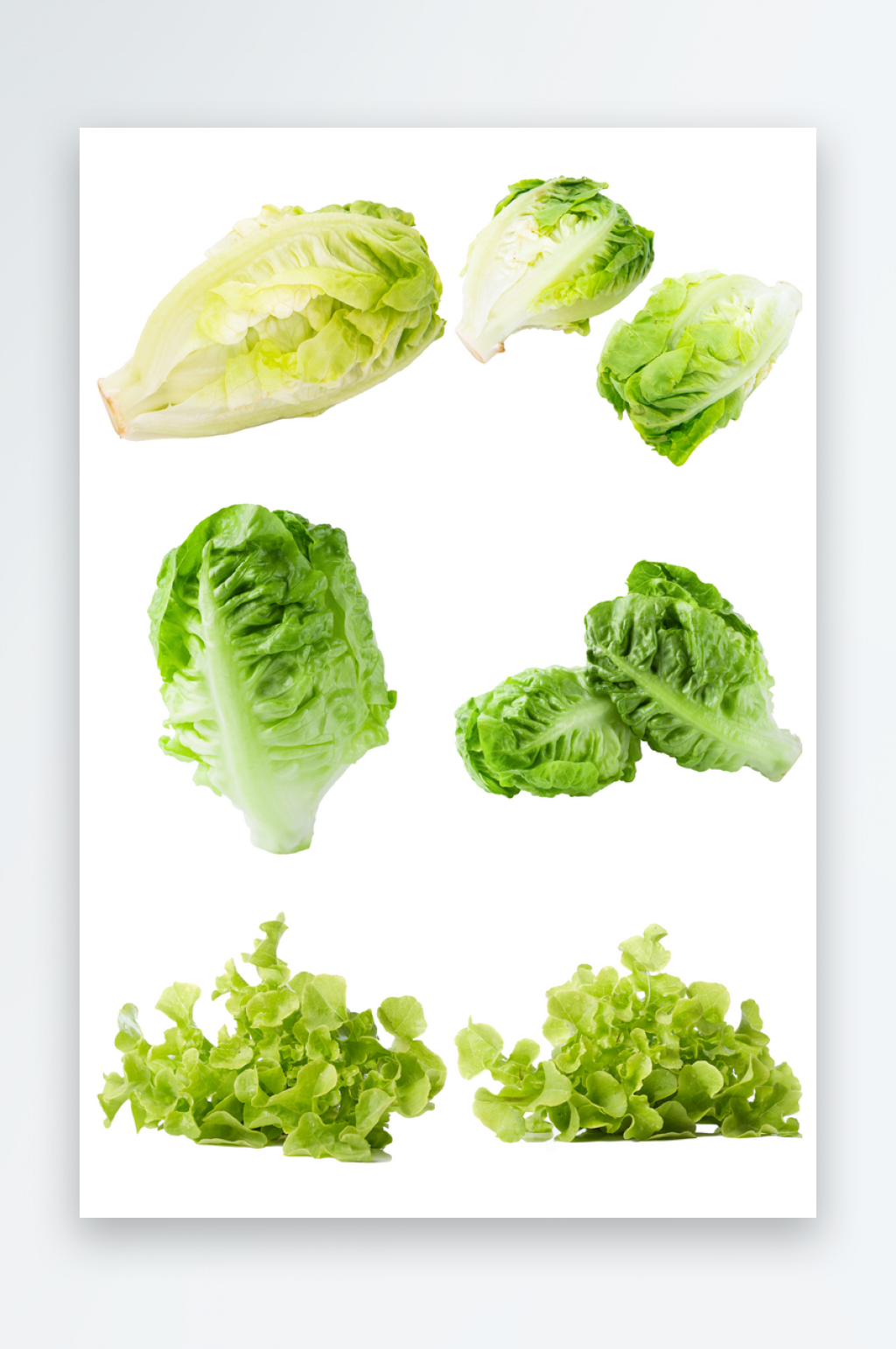 新鲜蔬菜免抠元素素材