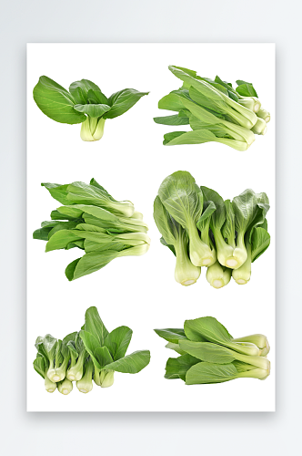 新鲜蔬菜免抠元素
