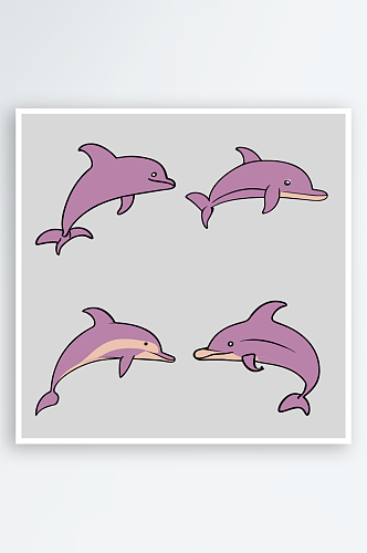 海豚卡通风格免抠图小元素