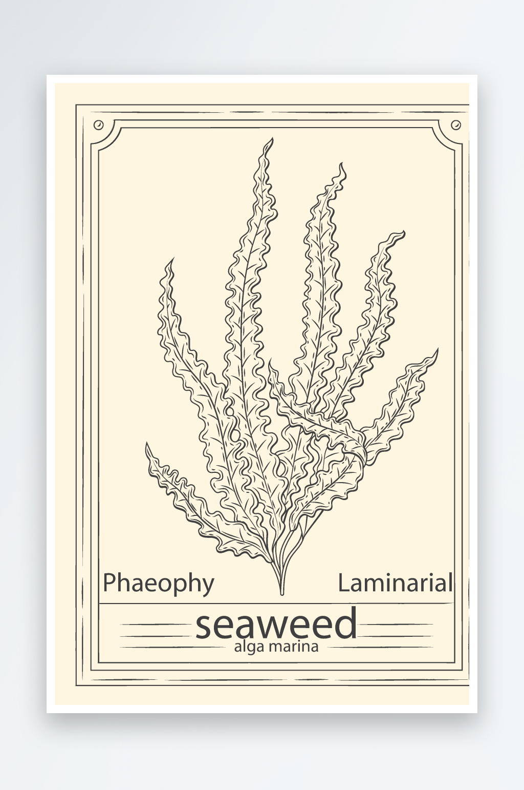 花卉绿植矢量素材素材