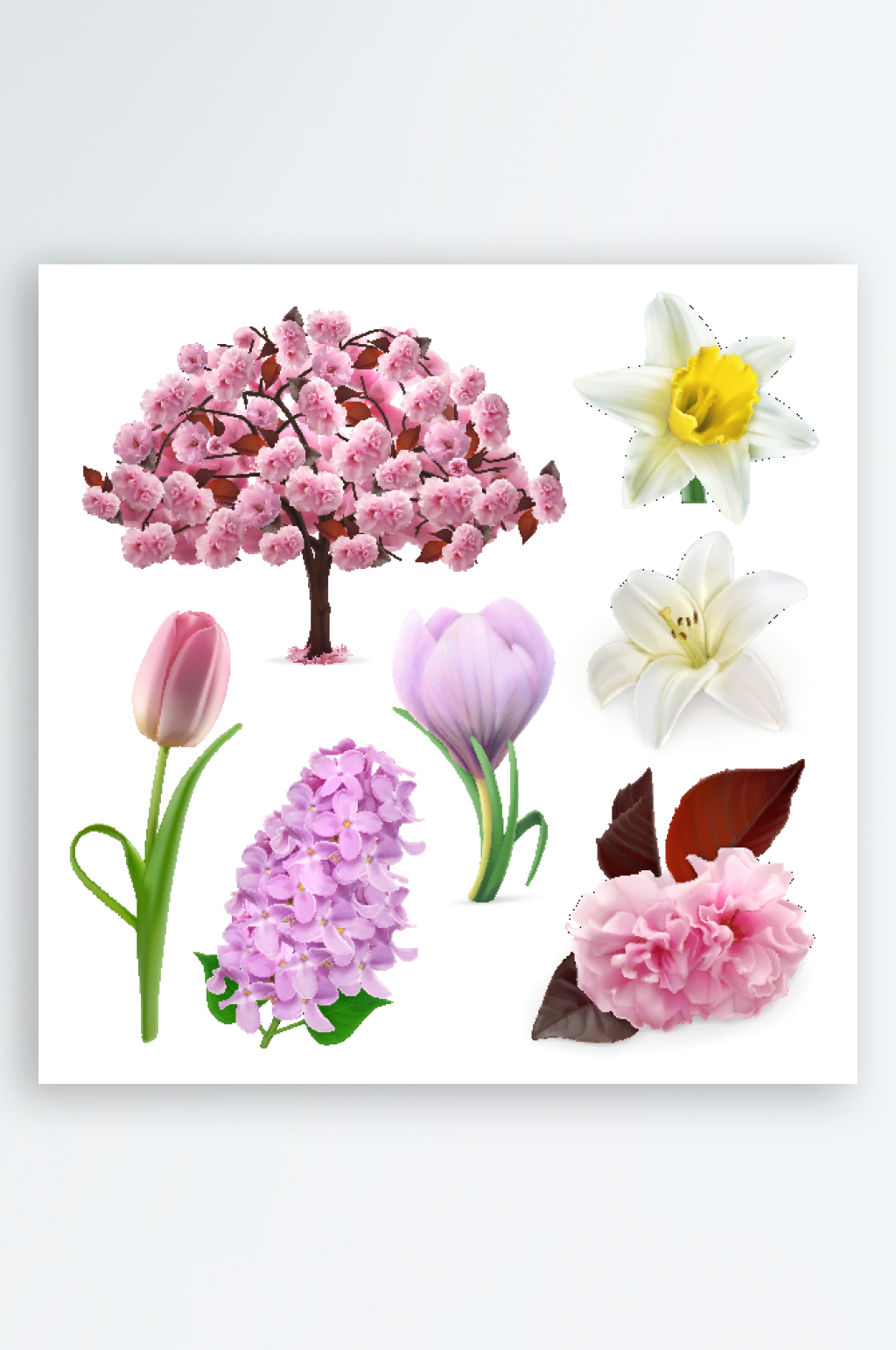 矢量花束绿植简约素材素材