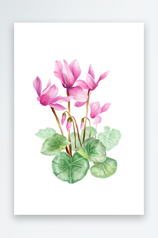 矢量唯美花卉植物素材