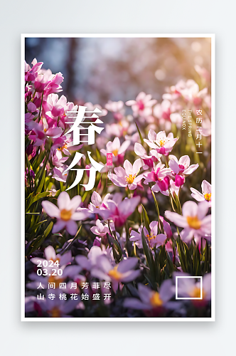春分节气摄影图海报