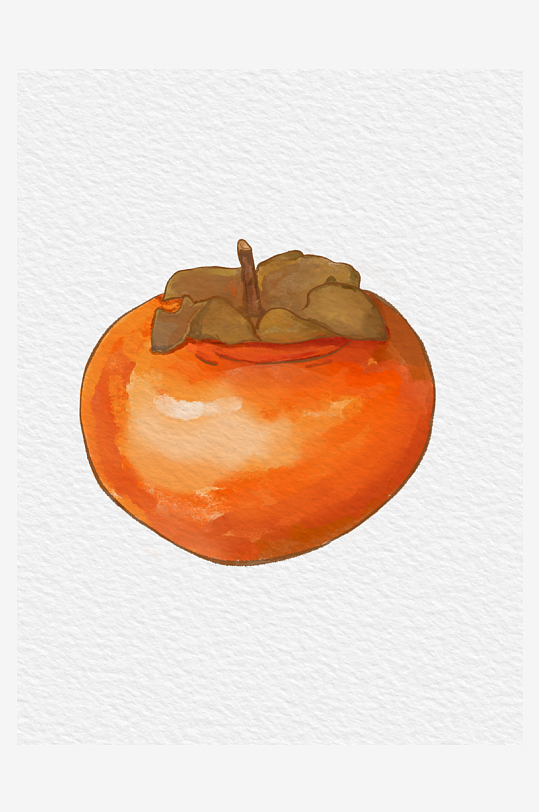柿子果实水彩插画