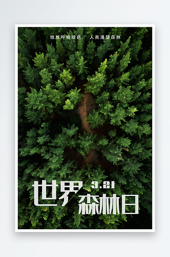 世界森林日宣传海报