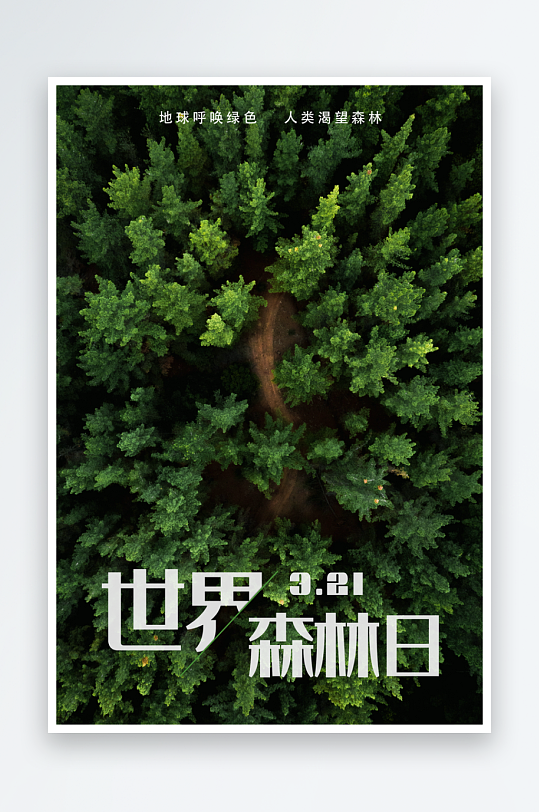 世界森林日宣传海报