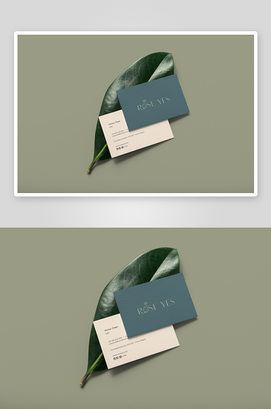 信封卡片VI样机-众图网