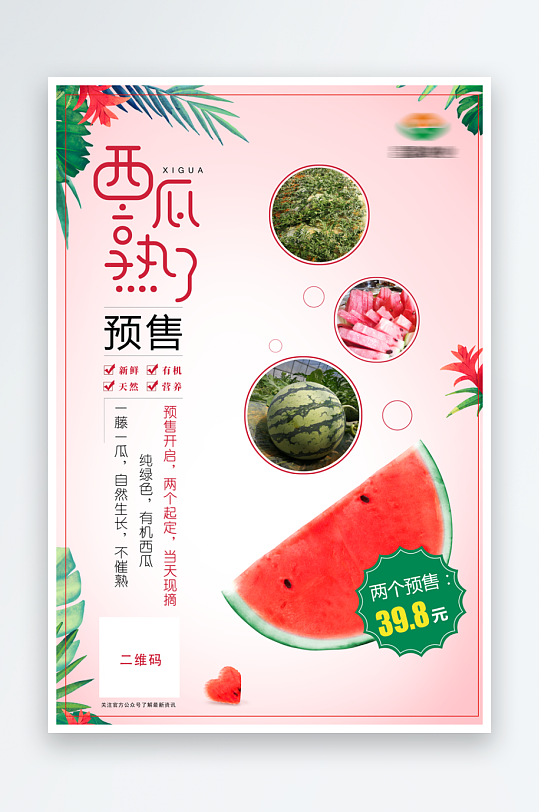 夏天西瓜元素素材