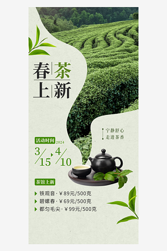 春茶上新茶园茶叶浅绿色简约海报