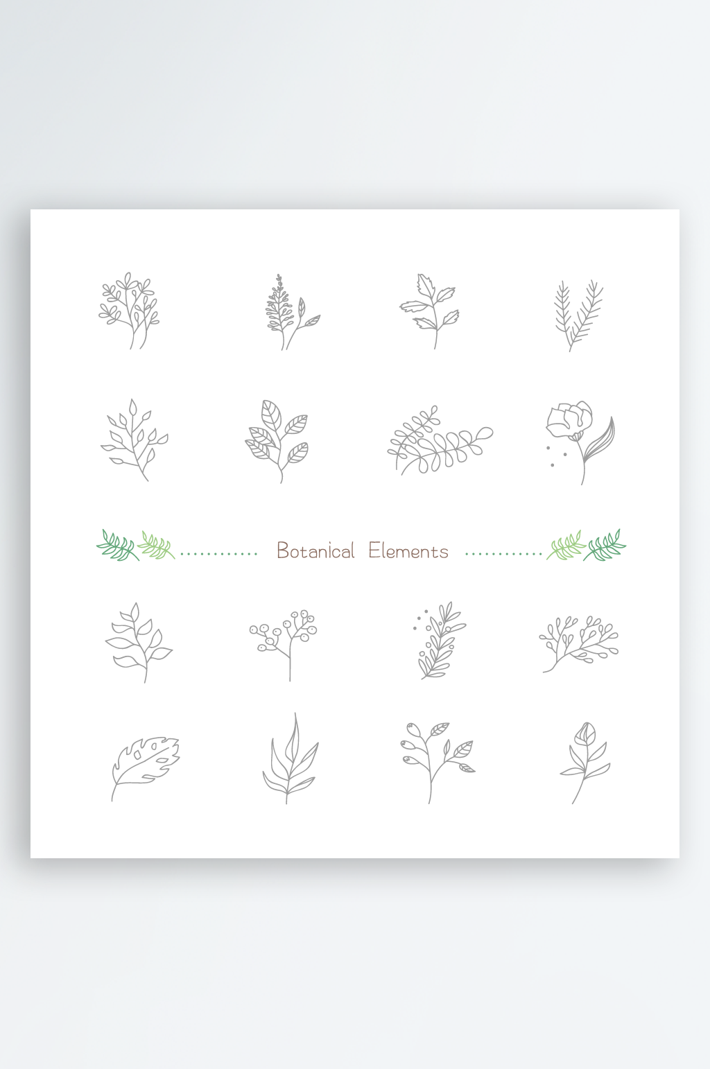 植物叶子插画设计素材素材