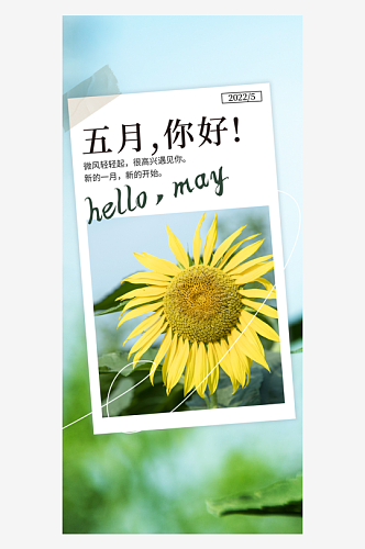 五月你好向日葵黄色绿色简约全屏海报