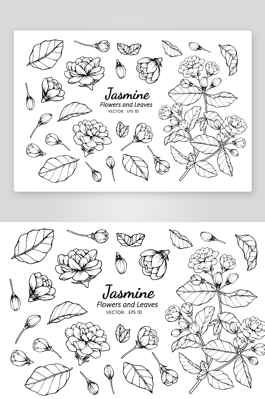 手绘植物花卉线描图案设计素材