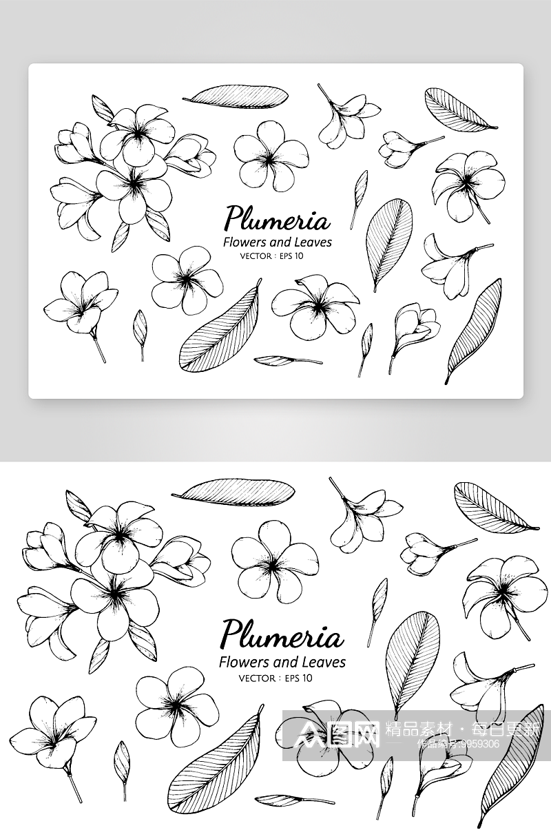 手绘植物花卉线描图案设计素材素材