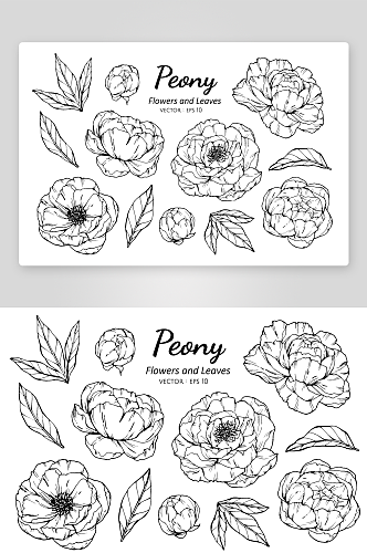 手绘植物花卉线描图案设计素材