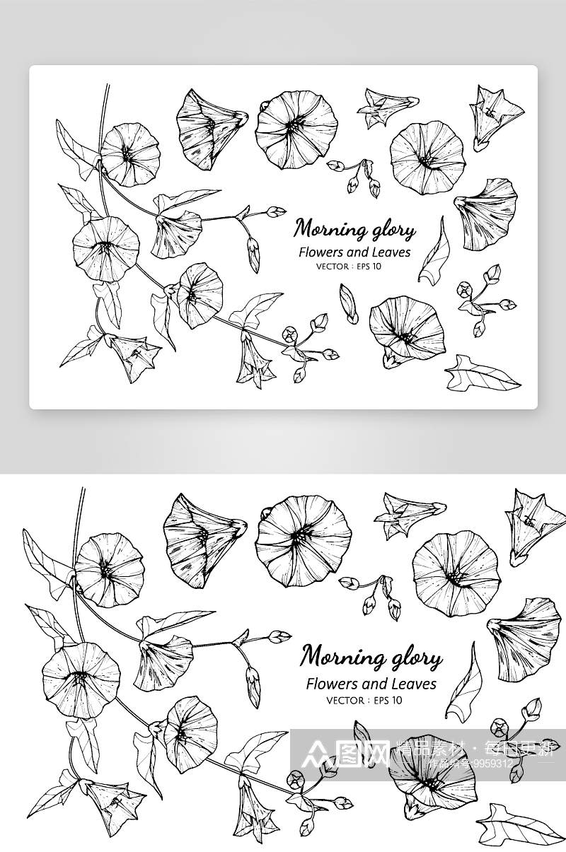 手绘植物花卉线描图案设计素材素材