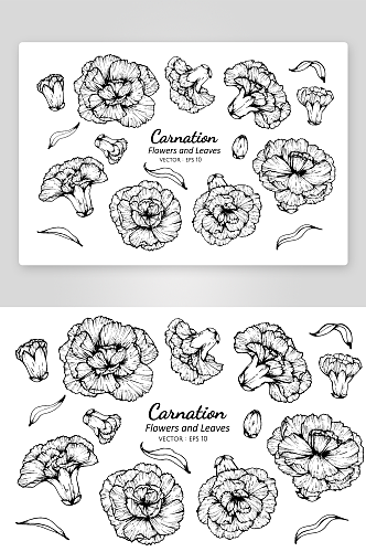 手绘植物花卉线描图案设计