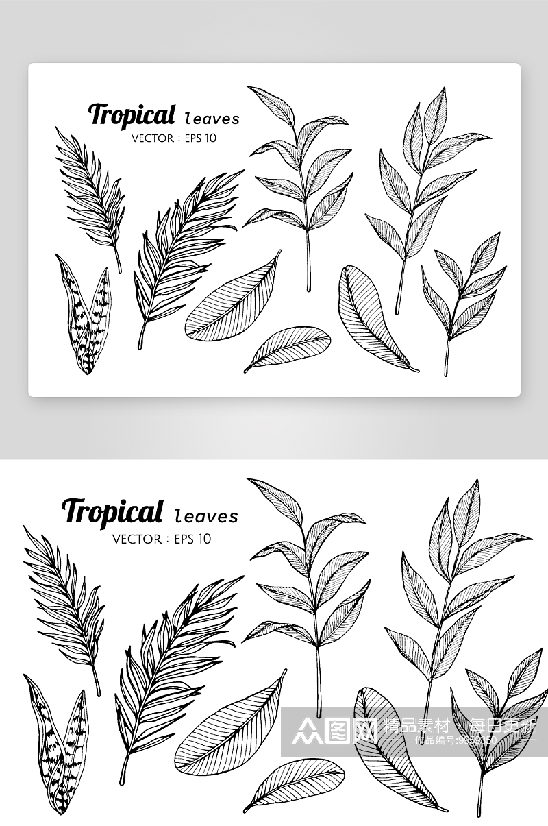 手绘植物花卉线描图案素材