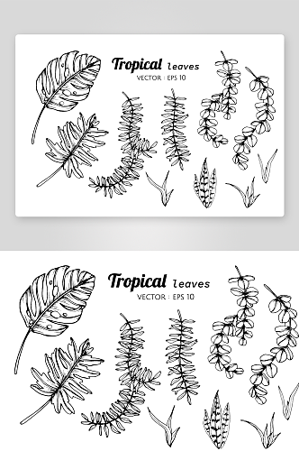 手绘植物花卉线描图案