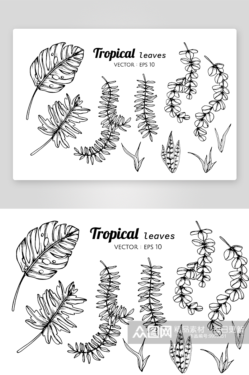 手绘植物花卉线描图案素材