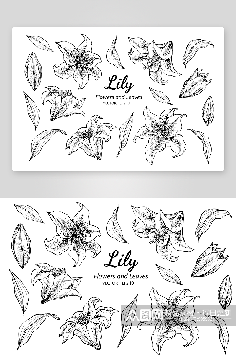 手绘植物花卉线描图案素材