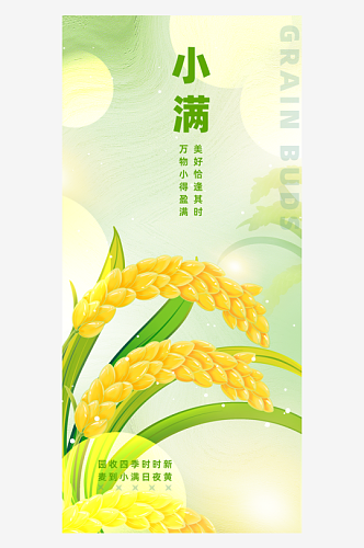 小满麦穗稻谷稻米成熟大米丰收秋收节气海报