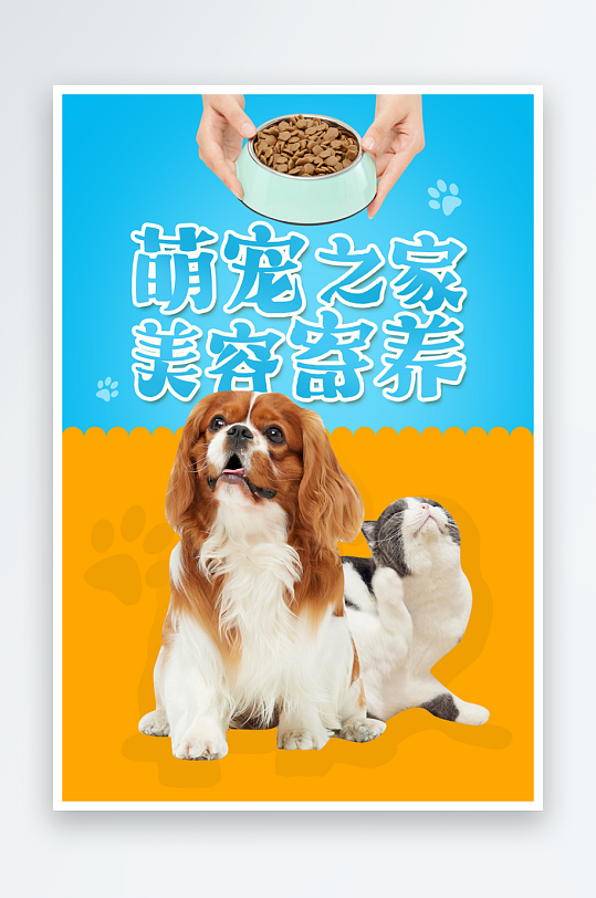 宠物店美容领养服务手机海报