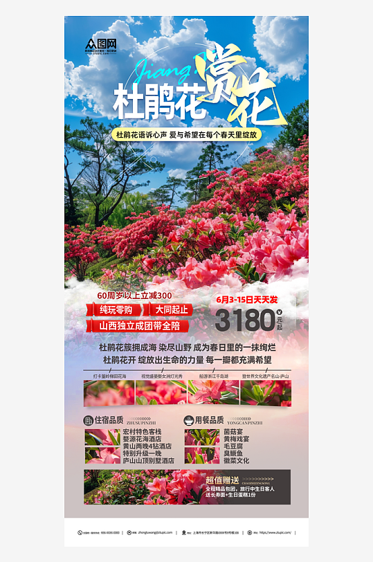 杜鹃花赏花宣传海报