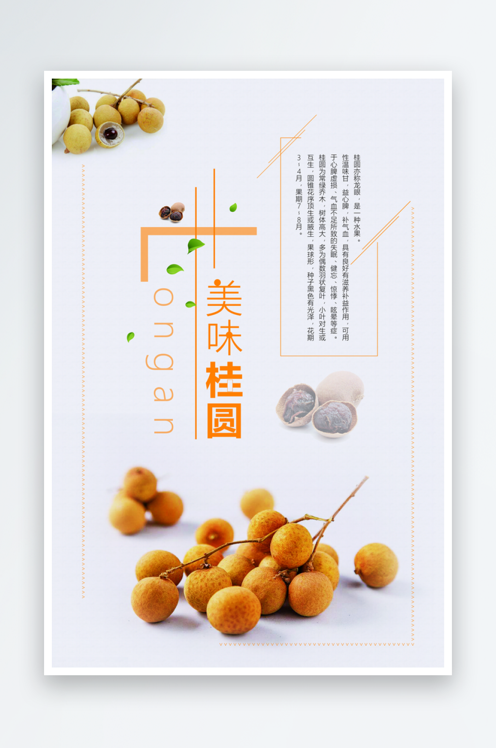水果龙眼宣传平面海报设计素材素材