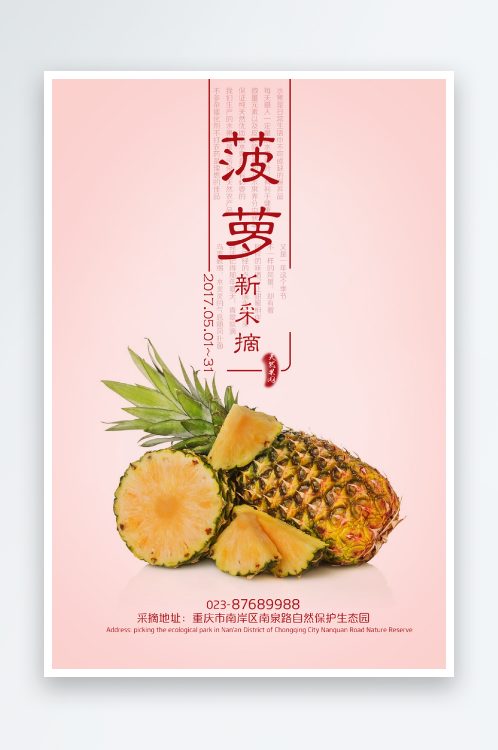 菠萝凤梨海报设计模版素材