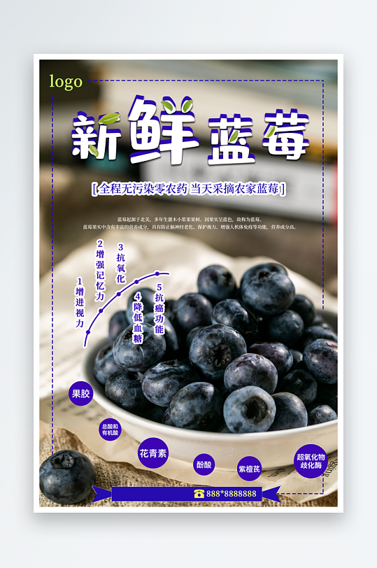 蓝莓海报宣传设计模版-众图网