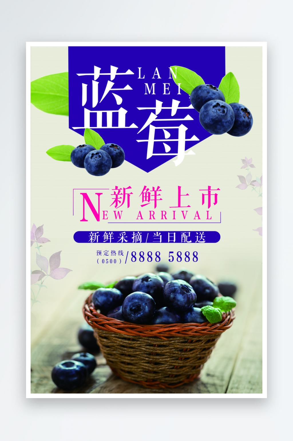 蓝莓海报设计模版素材