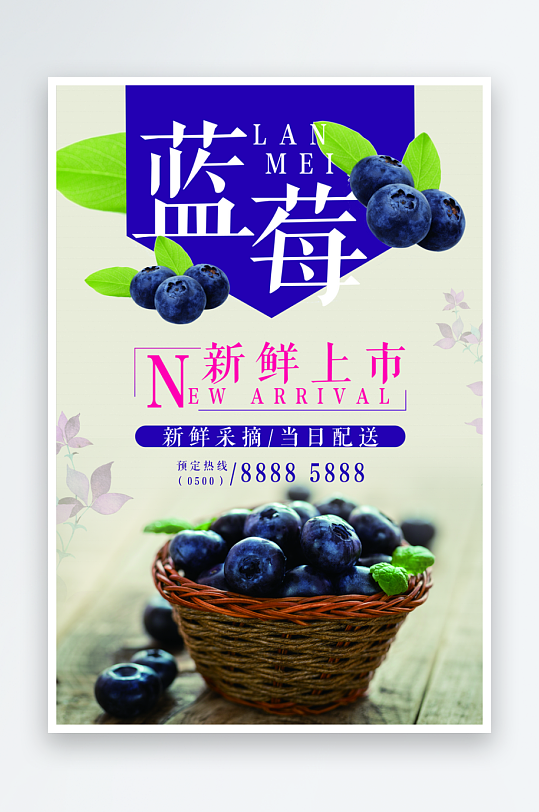 蓝莓海报设计模版-众图网