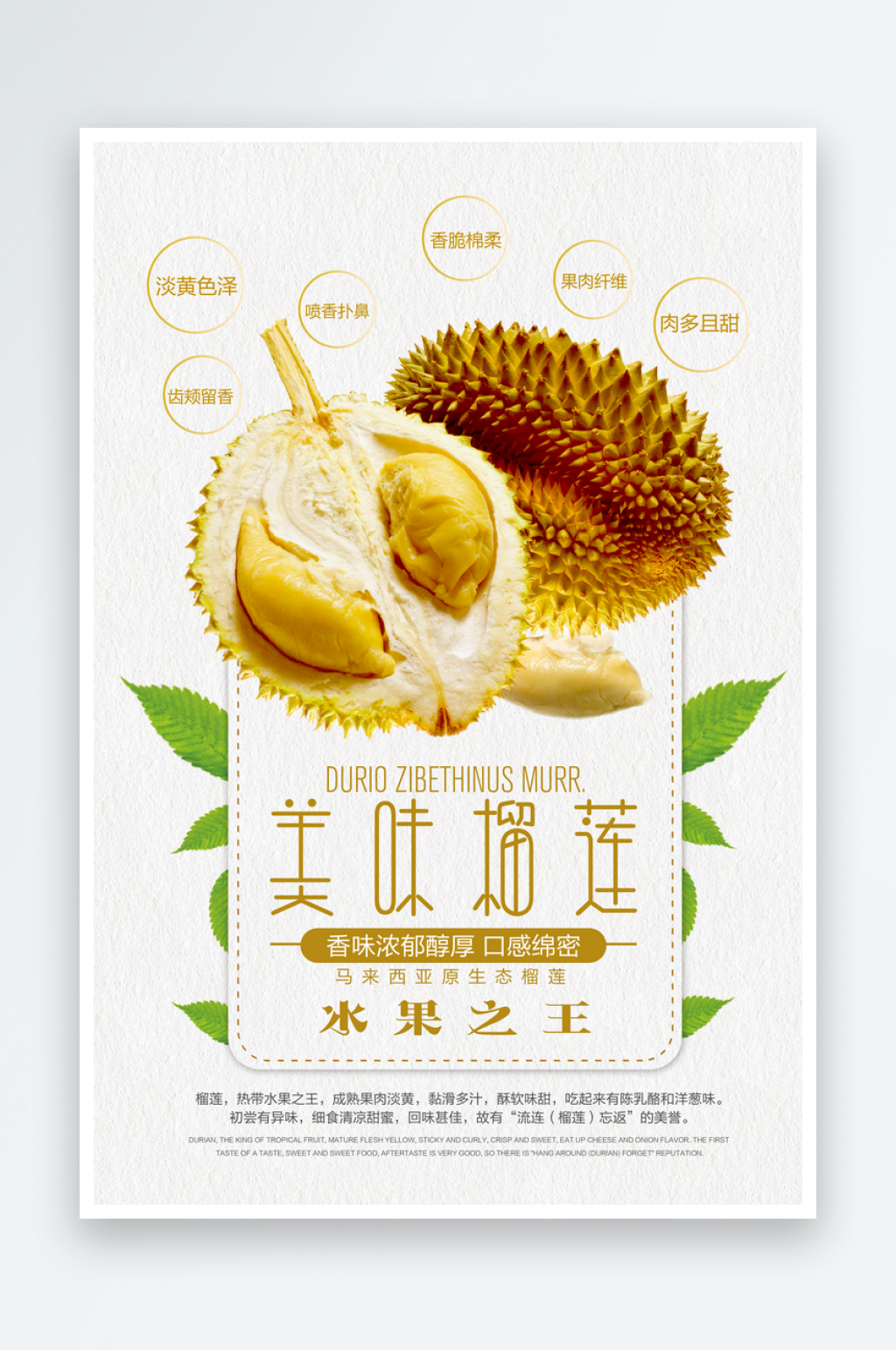 榴莲宣传海报设计模版素材