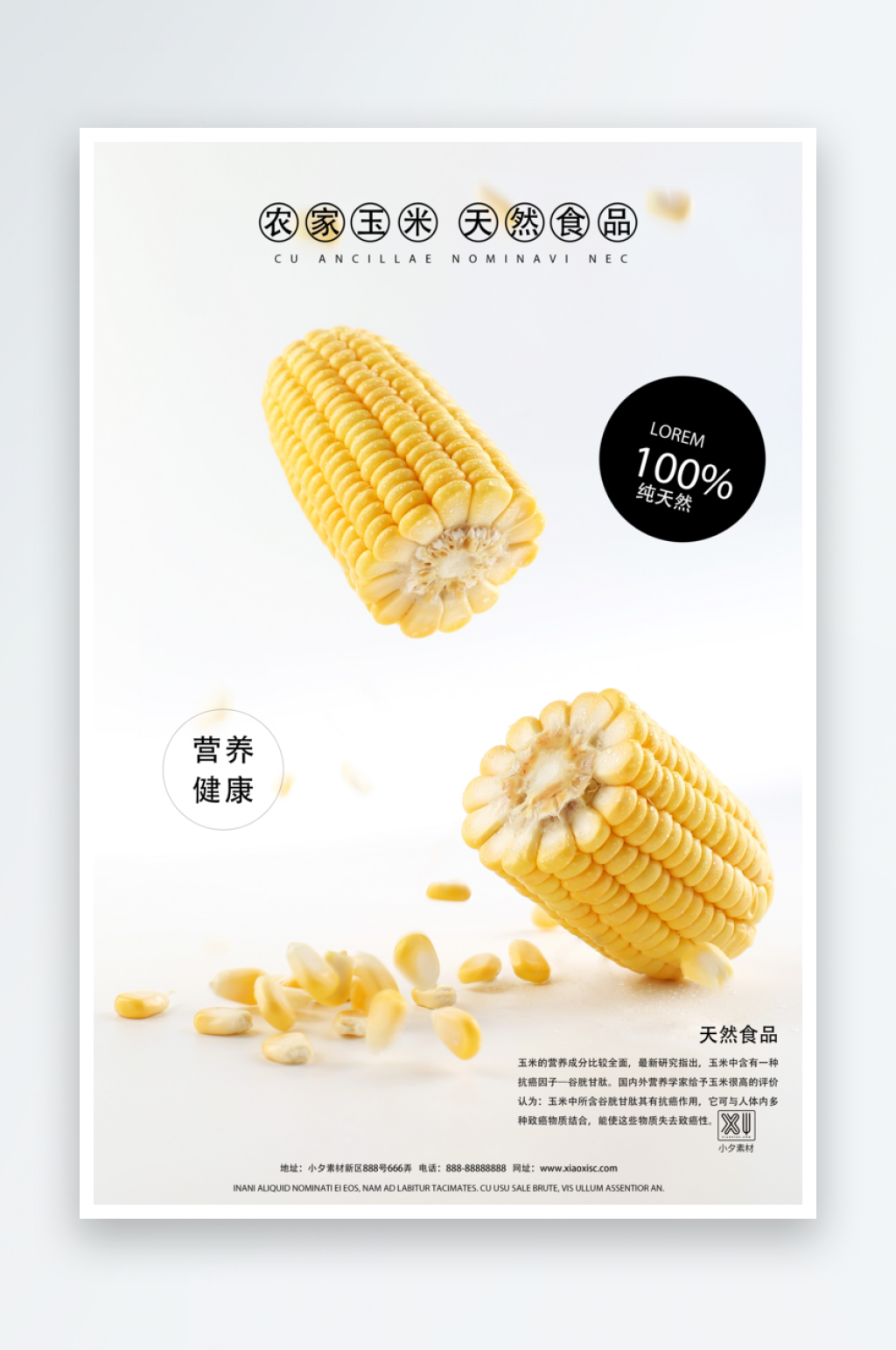 玉米海报设计模板素材