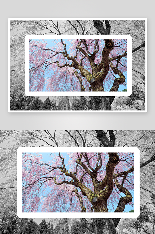 日本风景画装饰画