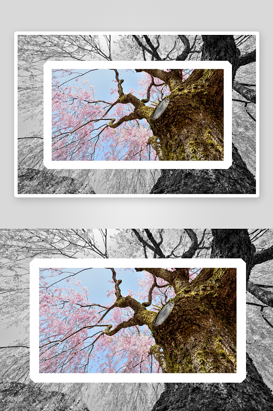 日本风景画装饰画