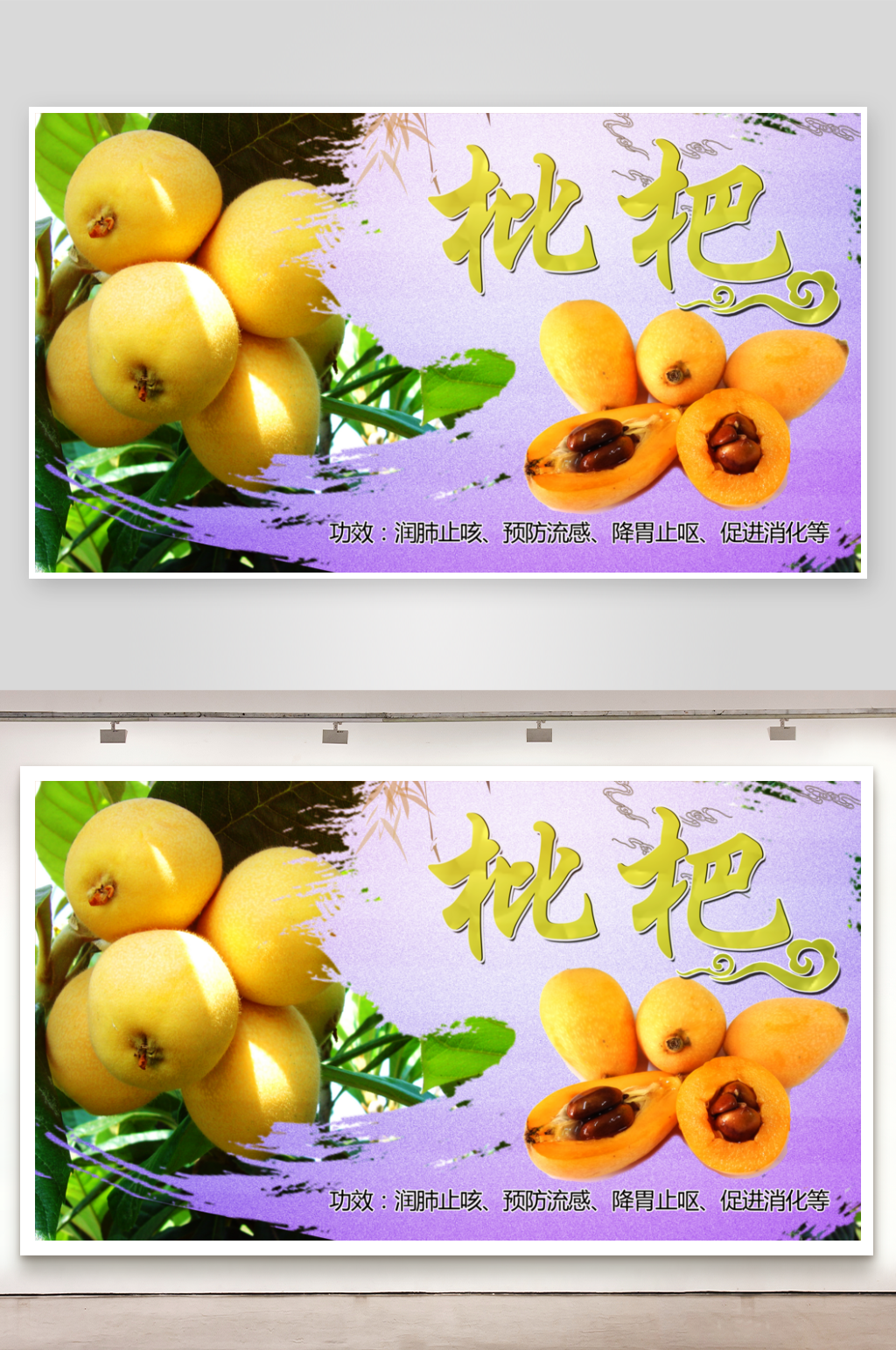 枇杷宣传展板设计素材