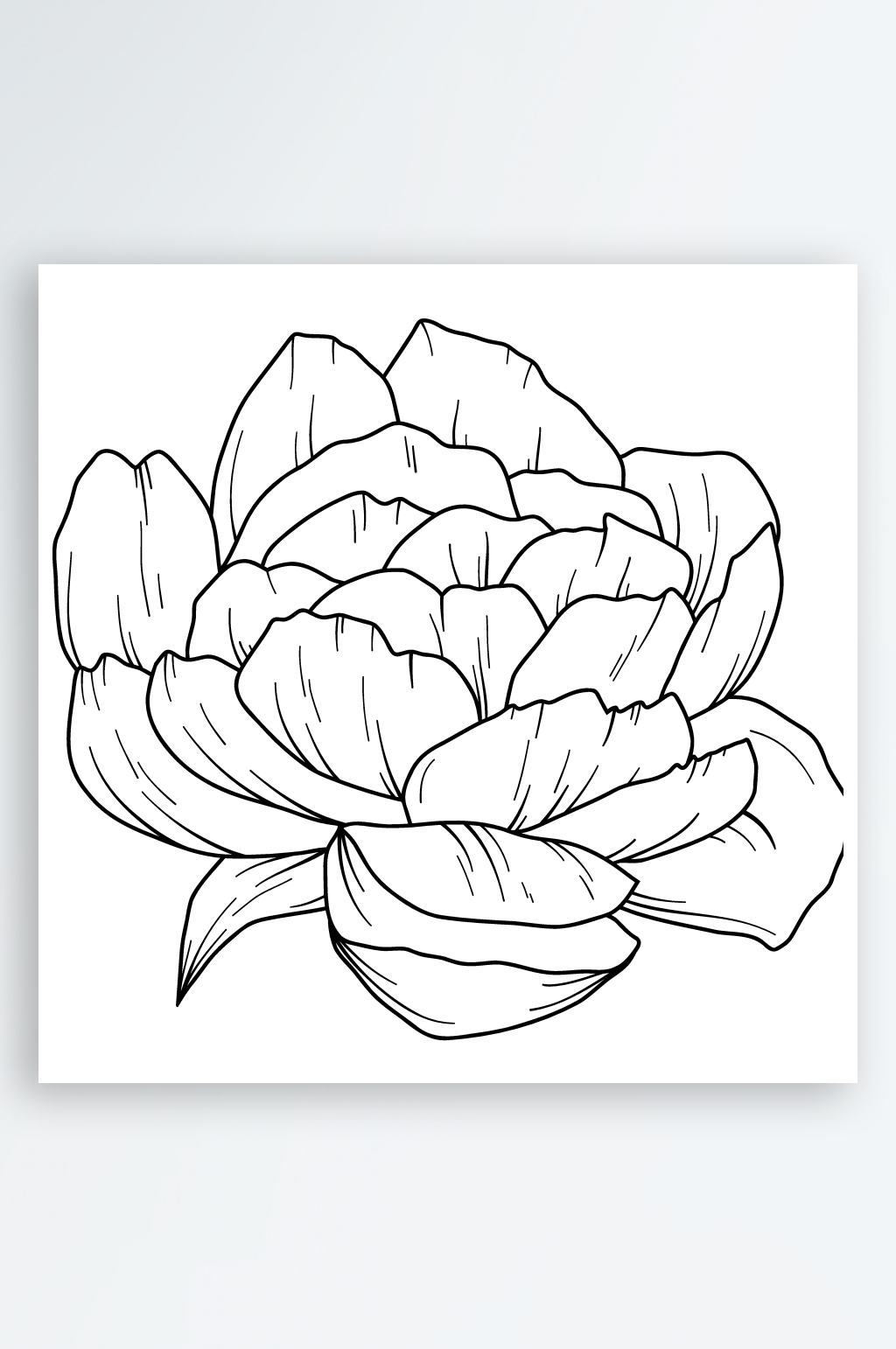 简约线条树叶花卉素材素材
