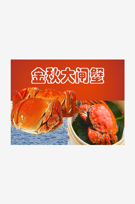 又大多肉的大闸蟹-众图网