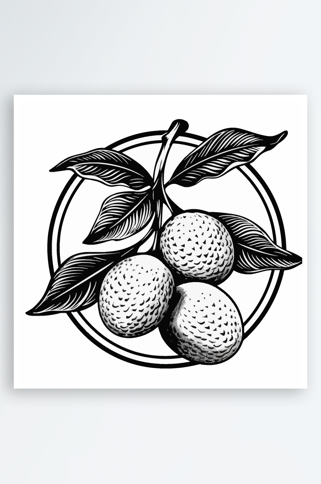 矢量水果荔枝素材图图片素材