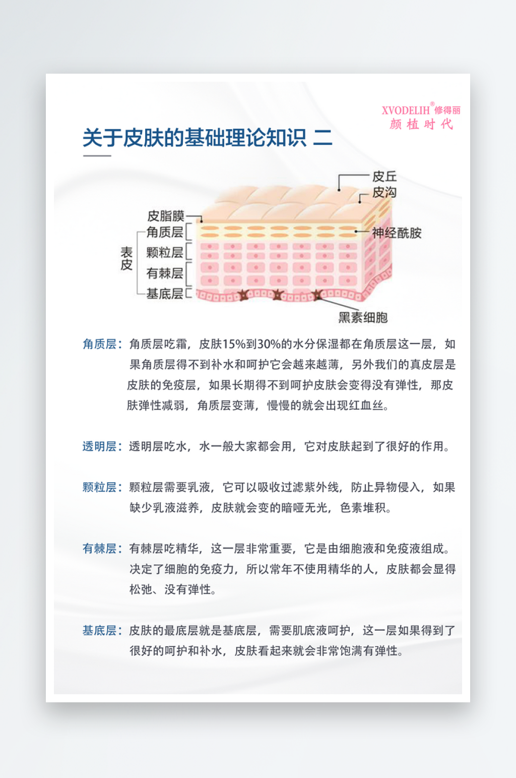 关于皮肤的基础知识宣传海报素材
