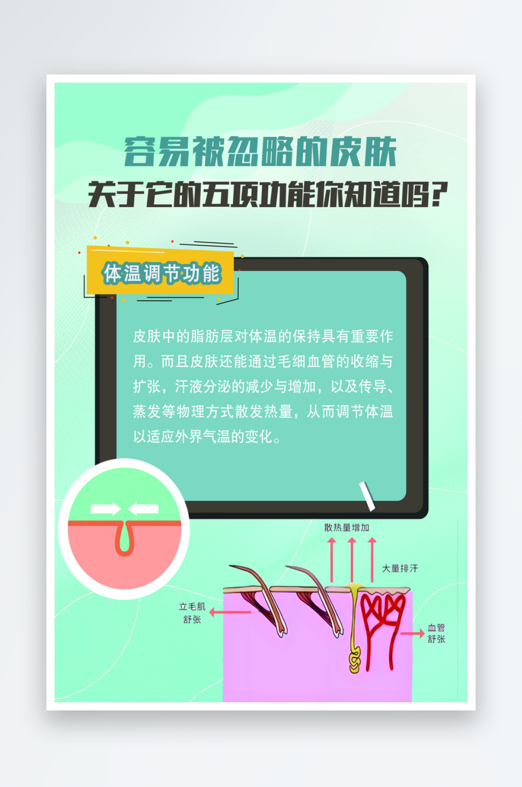 关于皮肤的功能知识海报素材