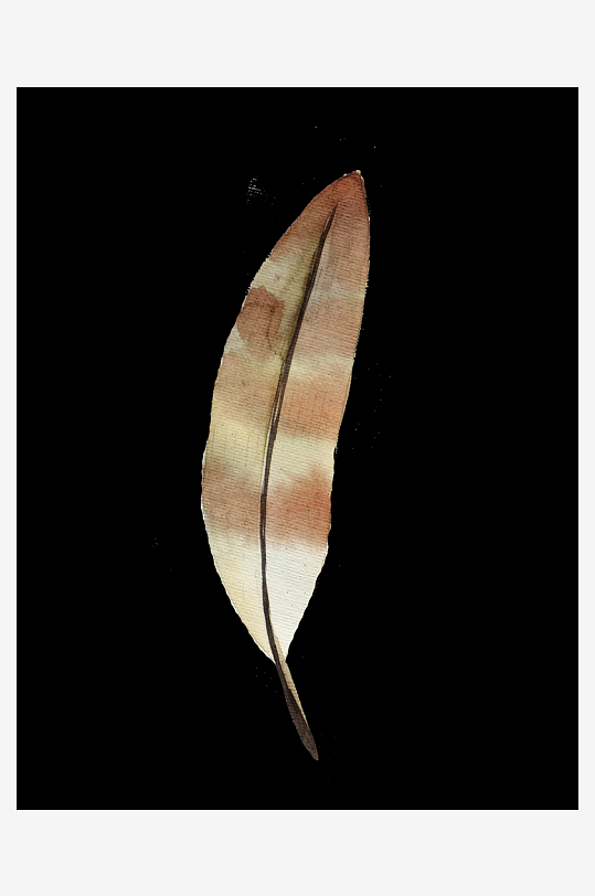 彩色羽毛免抠元素图-众图网