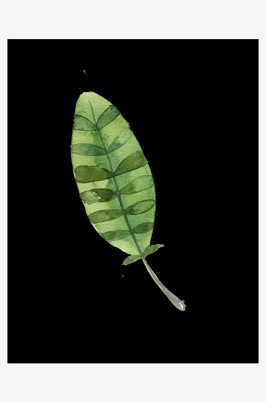 各种彩色羽毛免抠元素图-众图网