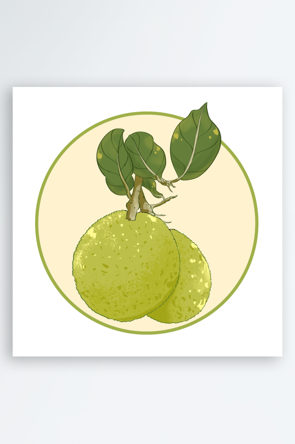 菠萝蜜水果插画元素素材