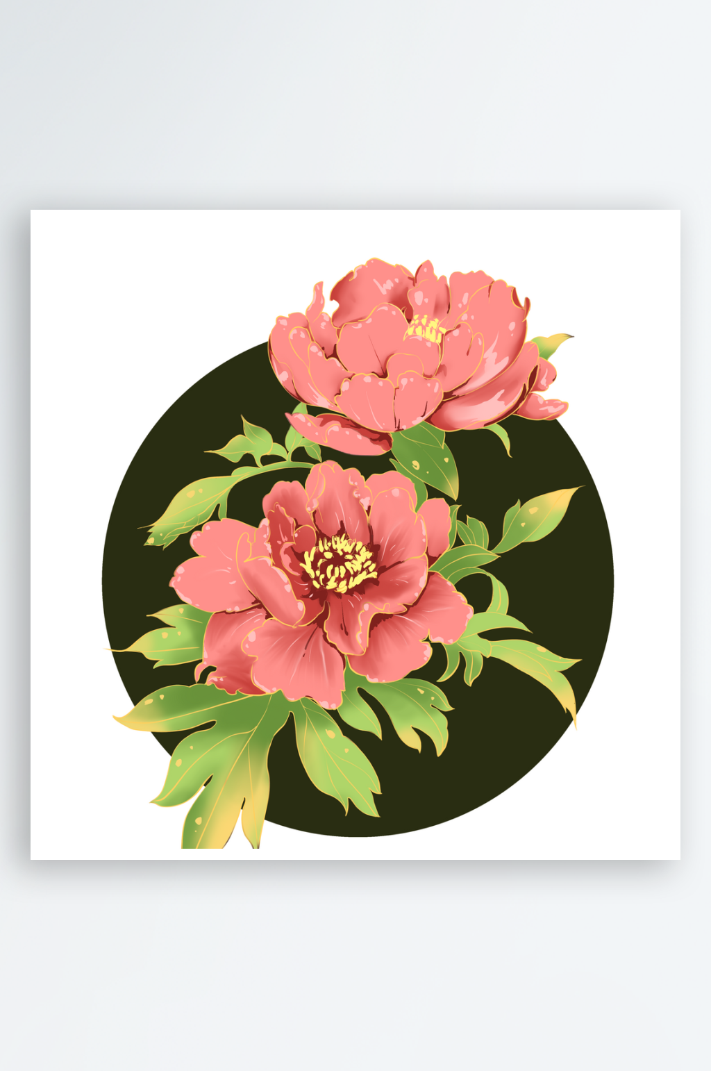 牡丹花卉插画元素素材